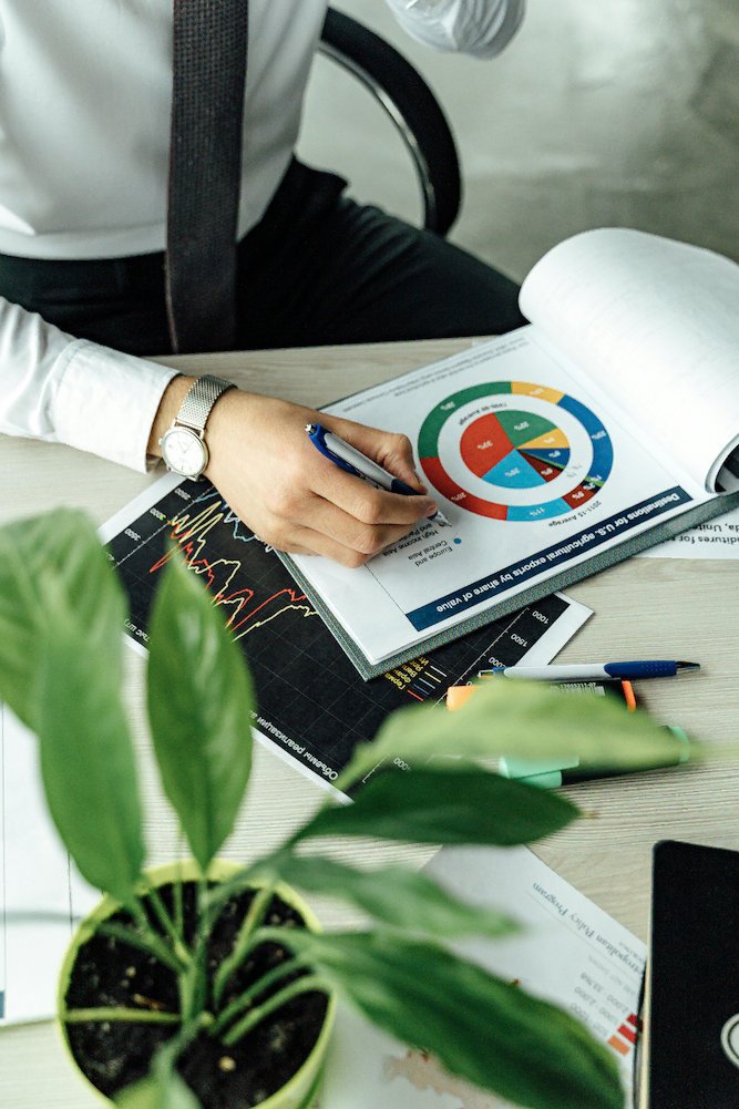 Marketing strategy development brand identity consulting